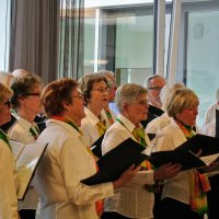 2019 AHZ Gerbe 8-Mai